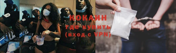 индика Иннополис