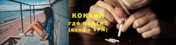 индика Иннополис
