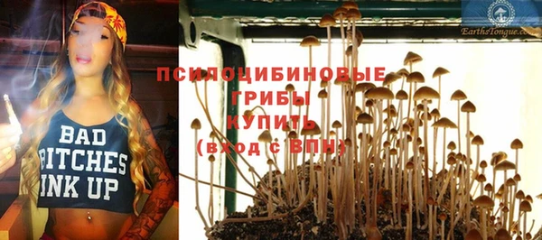 стафф Снежинск