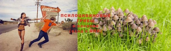 марки lsd Снежногорск